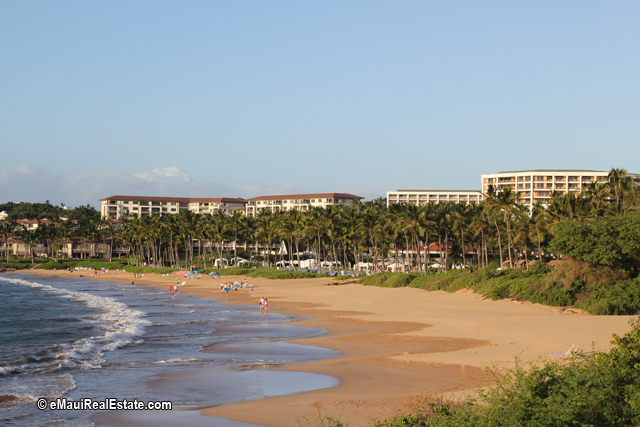 Spend your day at the beach