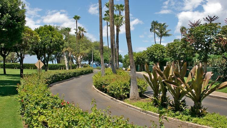 Kamaole Sands Road with manicured landscaping