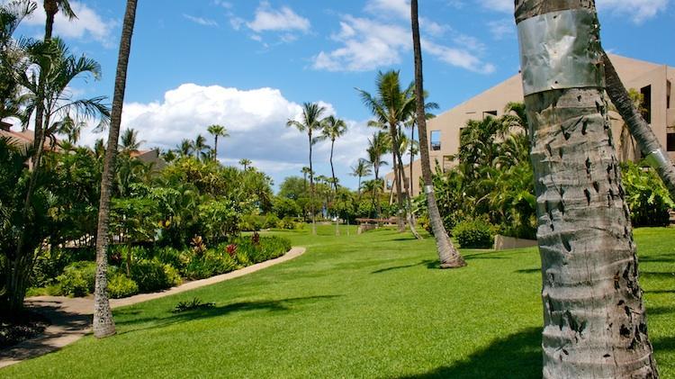 Kamaole Sands grounds complemented by the park across the street