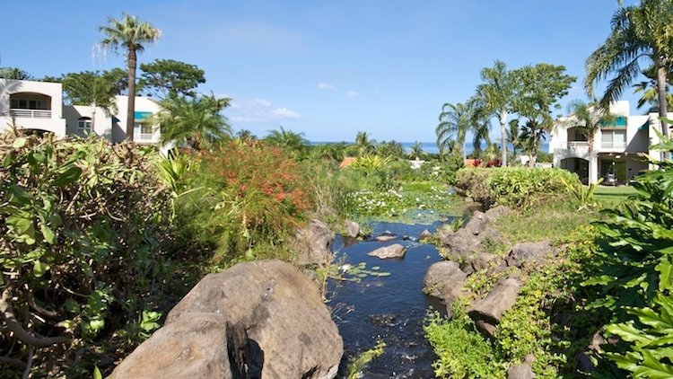 Small lagoon water feature on the property at Palms at Wailea