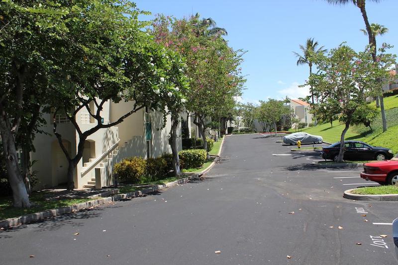 Drives with plenty of parking for residents and guests of Palms at Wailea