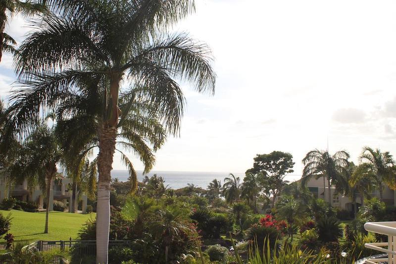 View from Palms at Wailea lanai