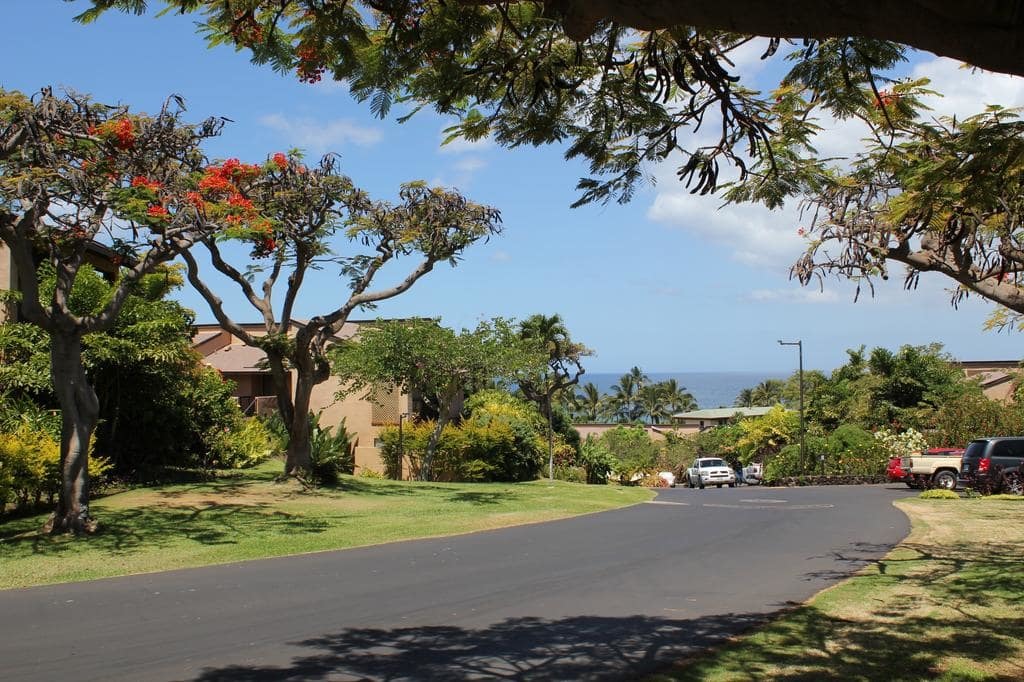 Ocean views are still to be had well back on the property