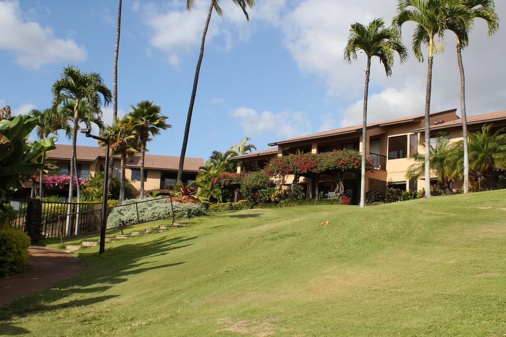 Landscaping is terraced with stairs and paths down to the oceanfront