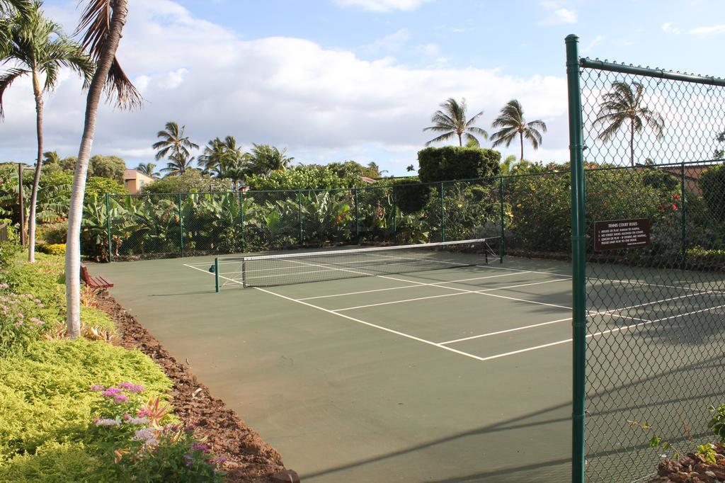 One of 2 paddle tennis courts