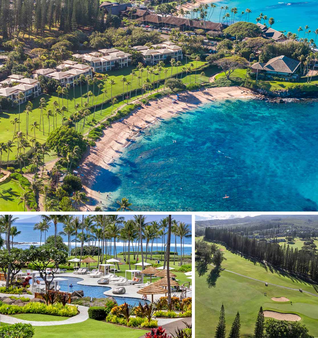 highlights of kapalua including Kapalua Bay Beach and nearby golf