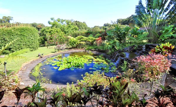 aquaculture is a good option for your farm plan