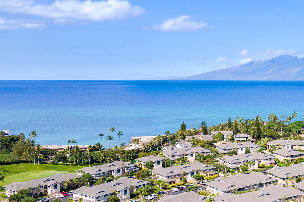 napili