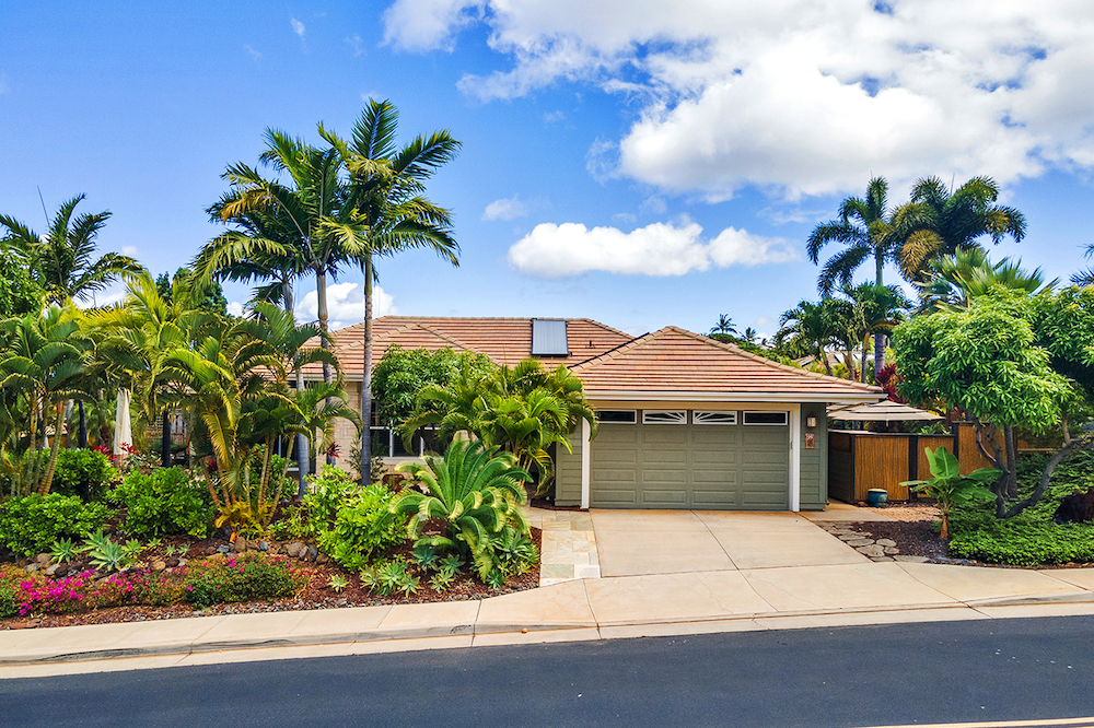 home with palm trees