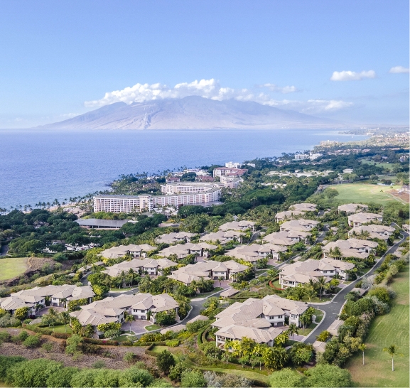 Hawaii landscape with volcano view